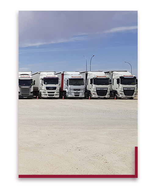 camiones P&G Martínez